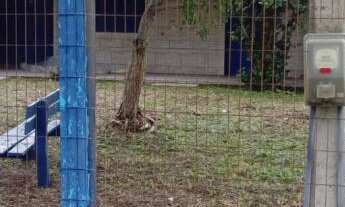 Imagem 1: Casa com 02 terrenos com 02 dormitórios, todo murado e cercado de madeira na frente