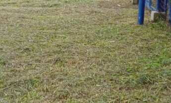 Imagem 3: Casa com 02 terrenos com 02 dormitórios, todo murado e cercado de madeira na frente