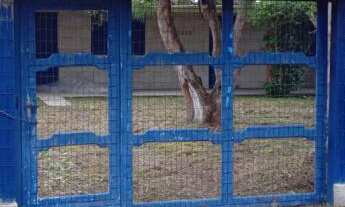 Imagem 5: Casa com 02 terrenos com 02 dormitórios, todo murado e cercado de madeira na frente