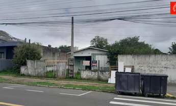 Imagem 3: Terreno para pavilhão