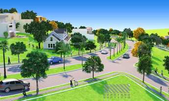 Imagem 3: Lançamento, 20M² de Área Total