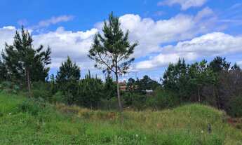 Imagem 2: Terrenos, 360M² de Área Total