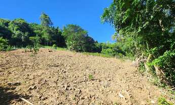 Imagem: Chácara, 2 dormitórios, 1 banheiros, 2