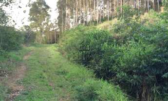 Imagem 3: Terreno com 3 Dormitorio(s) localizado(a) no bairro Vila Rica em São Sebastião do Caí / R