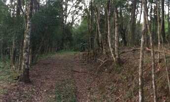 Imagem 4: Terreno com 3 Dormitorio(s) localizado(a) no bairro Vila Rica em São Sebastião do Caí / R