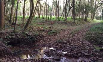 Imagem 5: Terreno com 3 Dormitorio(s) localizado(a) no bairro Vila Rica em São Sebastião do Caí / R