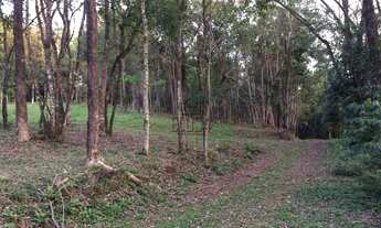 Imagem 6: Terreno com 3 Dormitorio(s) localizado(a) no bairro Vila Rica em São Sebastião do Caí / R