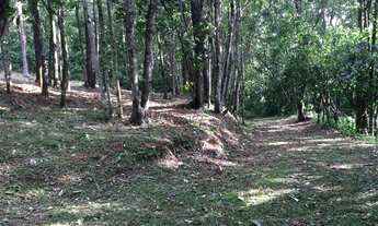 Imagem 7: Terreno com 3 Dormitorio(s) localizado(a) no bairro Vila Rica em São Sebastião do Caí / R