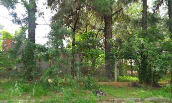 Imagem 2: Terreno com 3 Dormitorio(s) localizado(a) no bairro Cristo Rei em São Leopoldo / Rio Gran