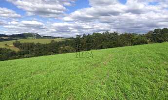 Imagem 3: Área de Terra com 2 Dormitorio(s) localizado(a) no bairro Fazenda São Borja em São Leopol