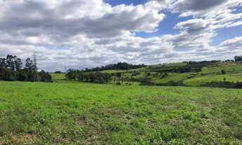 Imagem 5: Área de Terra com 2 Dormitorio(s) localizado(a) no bairro Fazenda São Borja em São Leopol