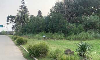 Imagem 1: TERRENO na estrada principal do Mato Queimado