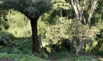 Imagem: Terreno no bairro Piratini proximo ao centro