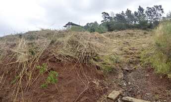 Imagem 2: Terrreno na Várzea Grande em Gramado, na Avenida do Trabalhador