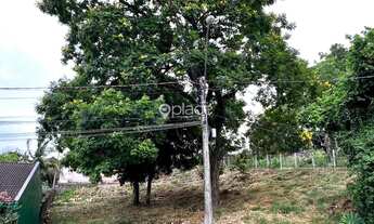 Imagem: TERRENO BOA VISTA