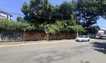 Imagem 3: Amplo terreno plano localizado na Avenida Nações Unidas