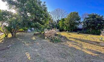 Imagem 5: AMPLO TERRENO PLANO 1116M² PRÓXIMO À FEEVALE