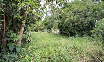 Imagem 7: PROPRIEDADE COM RESIDÊNCIA E GRANDE ÁREA ÚTIL DE TERRENO COM 4.200 m²