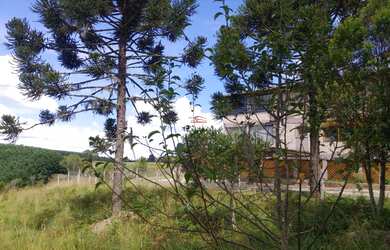 Imagem 2: Oportunidade: Chácara no Centro de São Francisco de Paula