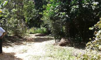 Imagem: Fazenda com 2 Dormitorio(s) localizado(a)