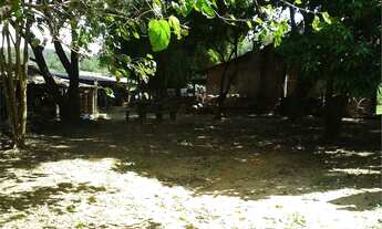 Imagem 2: Fazenda com 2 Dormitorio(s) localizado(a) no bairro Rincão do Cascalho em Portão / RIO GR