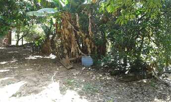 Imagem 3: Fazenda com 2 Dormitorio(s) localizado(a) no bairro Rincão do Cascalho em Portão / RIO GR