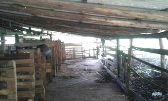 Imagem 5: Fazenda com 2 Dormitorio(s) localizado(a) no bairro Rincão do Cascalho em Portão / RIO GR