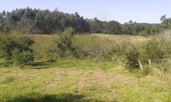 Imagem: Área de Terra com 3 Dormitorio(s) localizado(a)