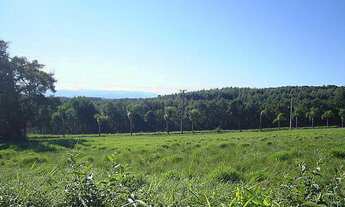 Imagem 7: Terreno com 3 Dormitorio(s) localizado(a) no bairro Conceição em São Sebastião do Caí / R