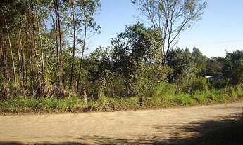 Imagem 2: Área de Terra com 3 Dormitorio(s) localizado(a) no bairro Rincão do Cascalho em Portão