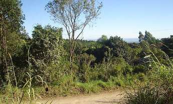 Imagem 3: Área de Terra com 3 Dormitorio(s) localizado(a) no bairro Rincão do Cascalho em Portão