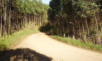 Imagem 4: Área de Terra com 3 Dormitorio(s) localizado(a) no bairro Rincão do Cascalho em Portão