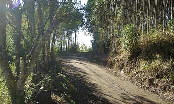 Imagem 5: Área de Terra com 3 Dormitorio(s) localizado(a) no bairro Rincão do Cascalho em Portão