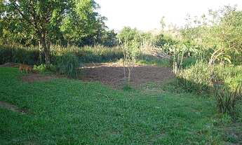 Imagem 6: Área de Terra com 2 Dormitorio(s) localizado(a) no bairro Rincão do Cascalho em Portão