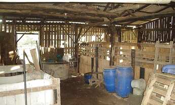 Imagem 7: Área de Terra com 2 Dormitorio(s) localizado(a) no bairro Rincão do Cascalho em Portão