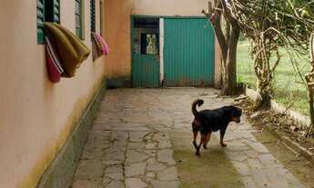 Imagem 3: Fazenda com 4 Dormitorio(s) localizado(a) no bairro Morretinhos em Portão / RIO GRANDE DO