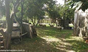 Imagem 5: Fazenda com 4 Dormitorio(s) localizado(a) no bairro Morretinhos em Portão / RIO GRANDE DO