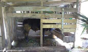 Imagem 4: Fazenda com 2 Dormitorio(s) localizado(a) no bairro Rincão do Cascalho em Portão / RIO GR