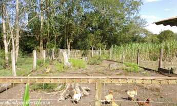 Imagem 5: Fazenda com 2 Dormitorio(s) localizado(a) no bairro Rincão do Cascalho em Portão / RIO GR