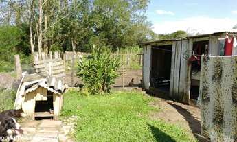 Imagem 2: Fazenda com 2 Dormitorio(s) localizado(a) no bairro Rincão do Cascalho em Portão / RIO GR