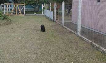 Imagem: Terreno com 3 Dormitorio(s) localizado(a)