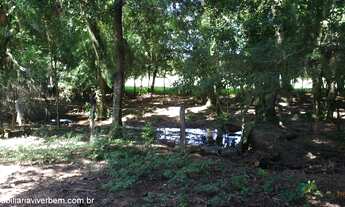 Imagem 4: Fazenda com 4 Dormitorio(s) localizado(a) no bairro Sanga Funda em Portão / RIO GRANDE DO