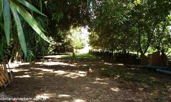 Imagem 5: Fazenda com 4 Dormitorio(s) localizado(a) no bairro Sanga Funda em Portão / RIO GRANDE DO