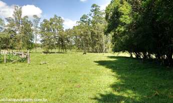 Imagem 3: Fazenda com 4 Dormitorio(s) localizado(a) no bairro Sanga Funda em Portão / RIO GRANDE DO