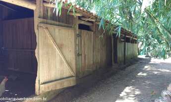 Imagem 7: Fazenda com 4 Dormitorio(s) localizado(a) no bairro Sanga Funda em Portão / RIO GRANDE DO