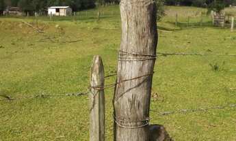 Imagem: Área de Terra com 2 Dormitorio(s) localizado(a)