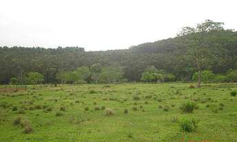 Imagem 5: Fazenda com 2 Dormitorio(s) localizado(a) no bairro Conceição em São Sebastião do Caí / R
