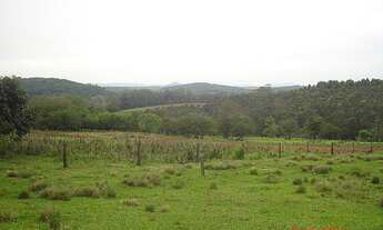 Imagem 6: Fazenda com 2 Dormitorio(s) localizado(a) no bairro Conceição em São Sebastião do Caí / R