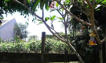 Imagem 4: Casa Residencial com 2 Dormitorio(s) localizado(a) no bairro Colina do Arco Iris em Portã