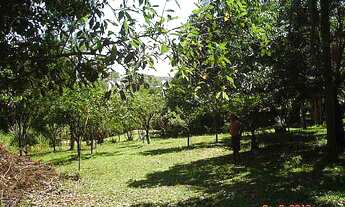 Imagem 6: Fazenda com 2 Dormitorio(s) localizado(a) no bairro Rincão do Cascalho em Portão / RIO GR